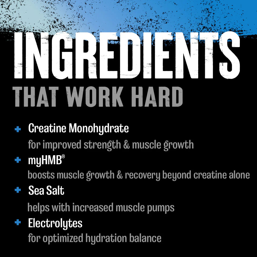 Animal Creatine HMB+ - Image 8