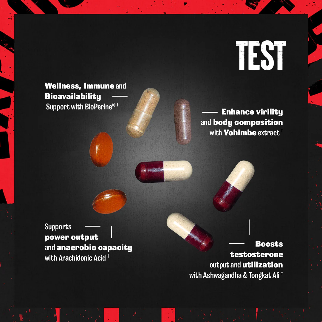 Animal Test - Image 6