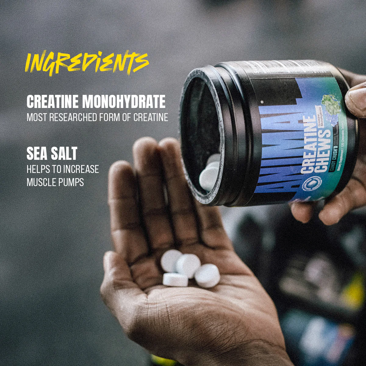 Animal Creatine Chews - Image 11